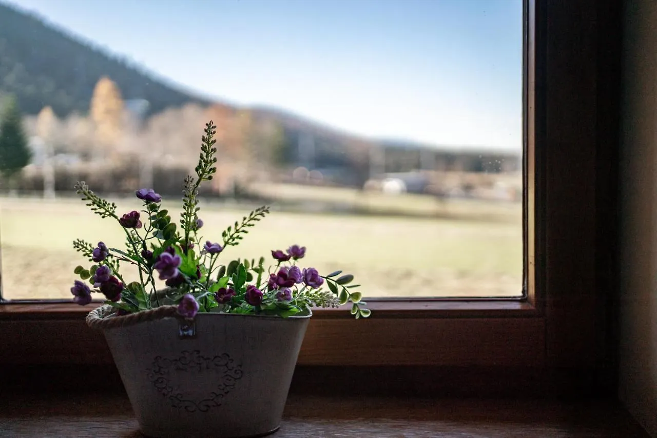 Apartamenty Bogowka 11 Zakopane Lejlighed